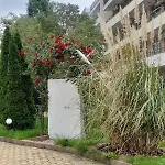 Apartmán Lovely 3 New Furnished Kamelia Sunny