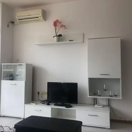 Lovely 3 New Furnished Kamelia Sunny Słoneczny Brzeg